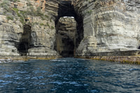 Tasman Peninsular-3