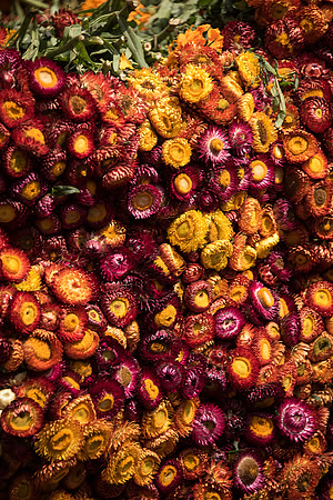 FlowerMarket-16