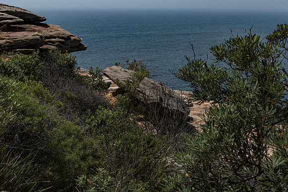 Sydney Cliffs-11