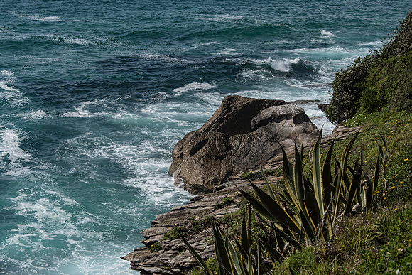 Sydney Cliffs-5