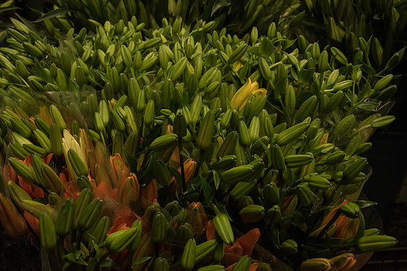 FlowerMarket-7