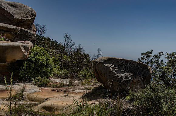 Sydney Cliffs-13