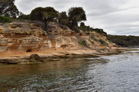 Maria Island-8