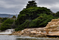 Maria Island-9