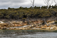 Maria Island-5