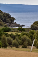 Maria Island-12