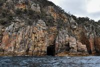 Maria Island-2