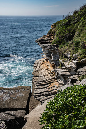 Sydney Cliffs-4