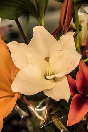 FlowerMarket-9