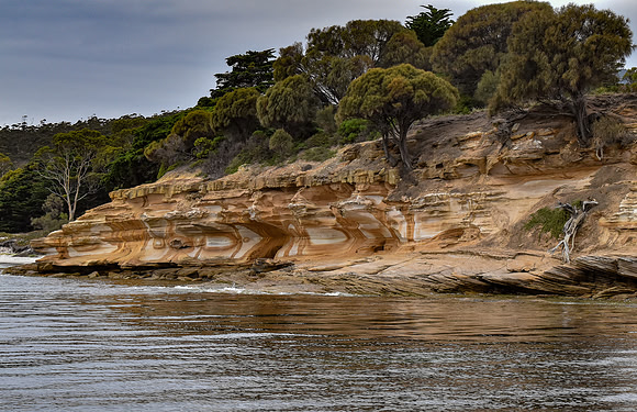 Maria Island-6