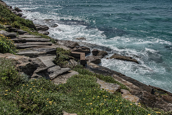 Sydney Cliffs-7