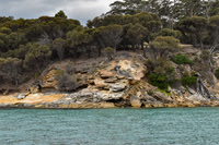 Maria Island-4
