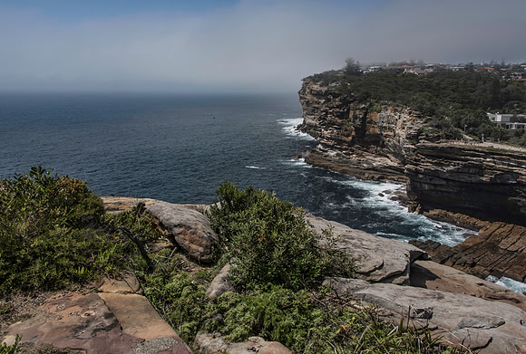 Sydney Cliffs-12