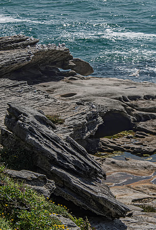 Sydney Cliffs-6