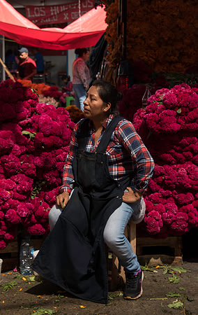 FlowerMarket-20