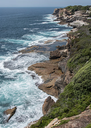 Sydney Cliffs-8