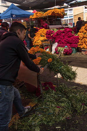 FlowerMarket-13