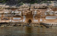 Maria Island-7