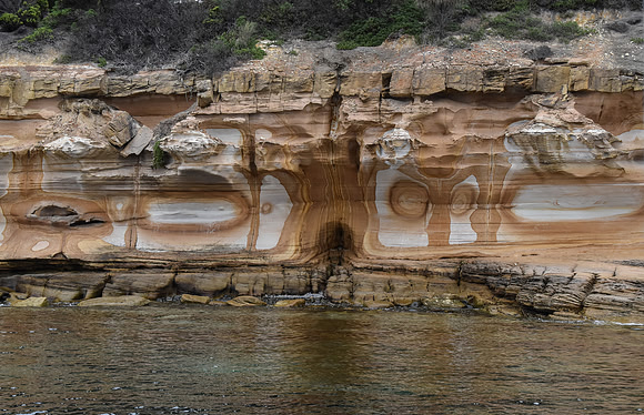 Maria Island-7
