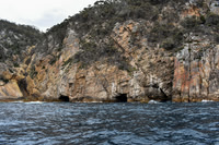 Maria Island-3