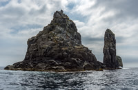 Tasman Peninsular-16