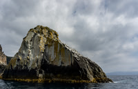 Tasman Peninsular-17