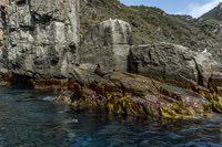 Tasman Peninsular-19