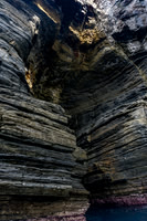 Tasman Peninsular-8
